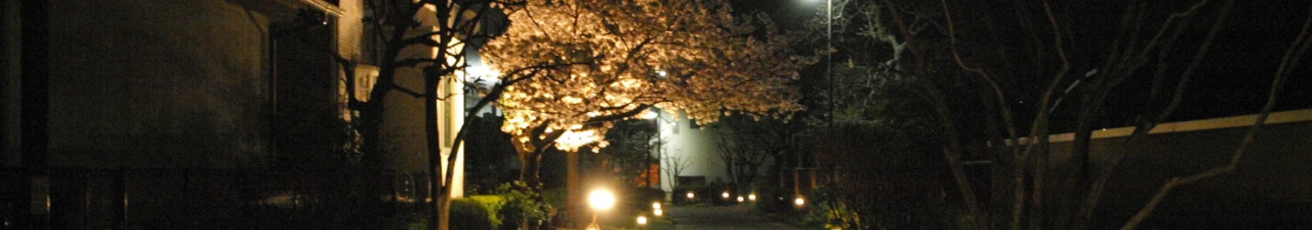 誰でもみまもりネット